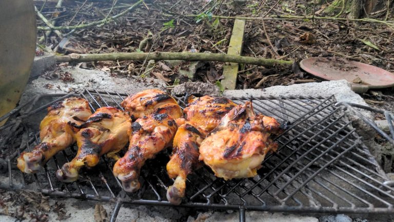 pollo.jpeg