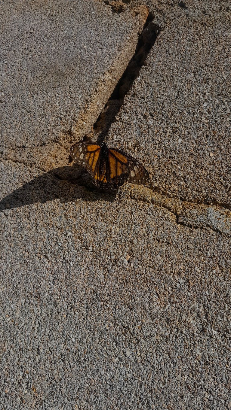 20231213_085451.jpg