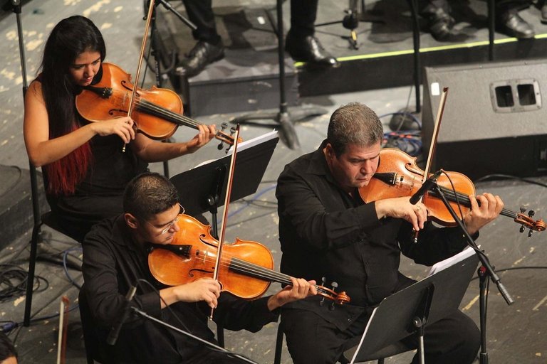 orchestra-2817188_1280.jpg