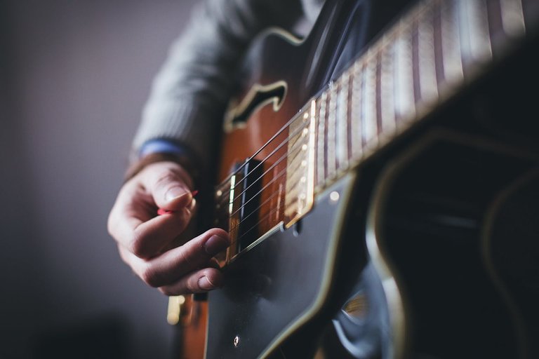 pexels-freestocks-15919.jpg