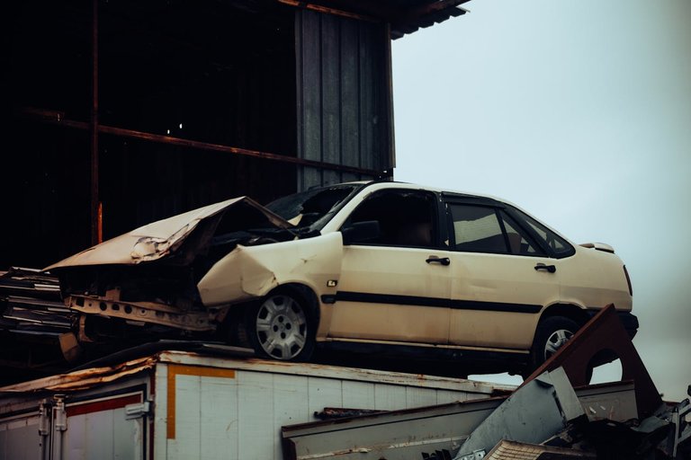 pexels-umutsrln-29879066.jpg