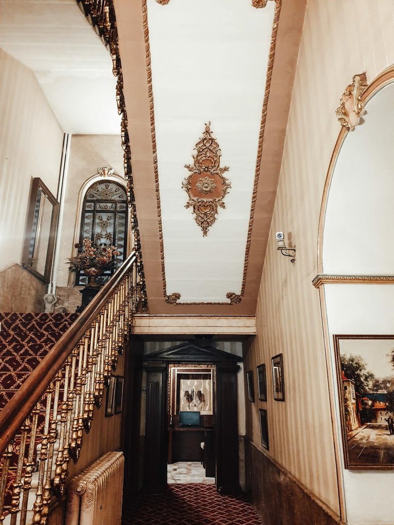 pexels-furkanfdemir-5018257.jpg