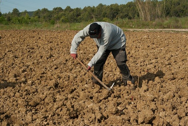 farmer-1367104_640.jpg