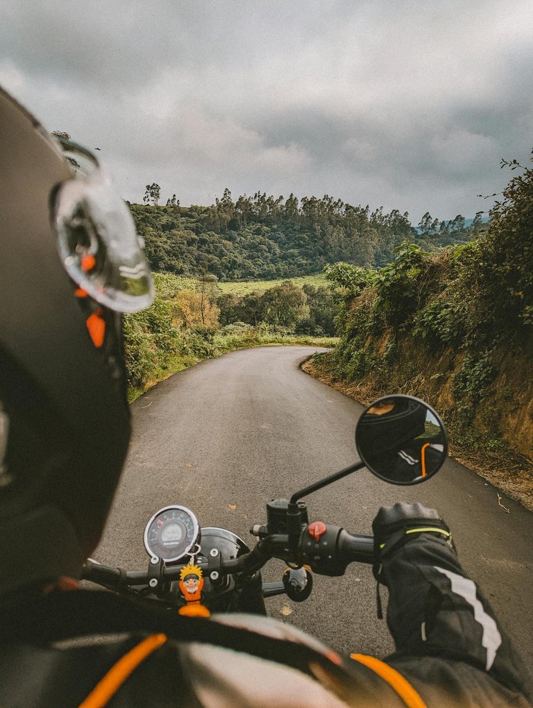 pexels-karthik-u-561761-14598565.jpg