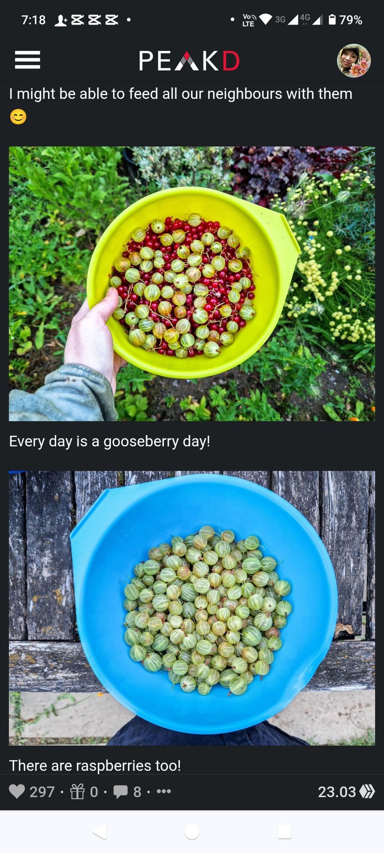 1000012745.jpg