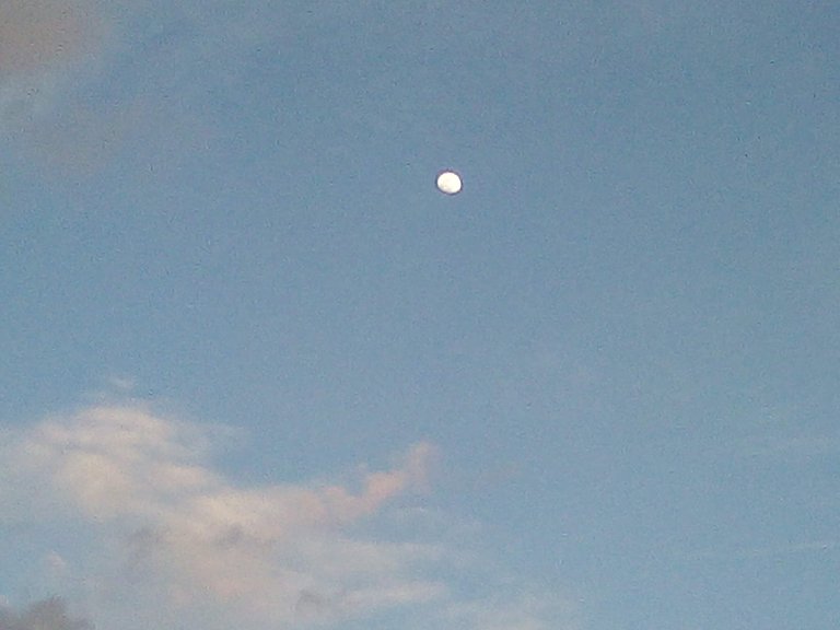 lunita.jpg