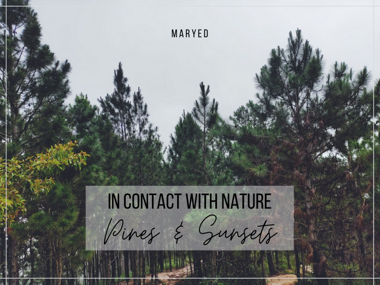 In contact with nature.png
