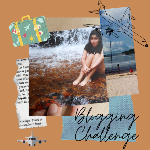 Blogging Challenge 1.png