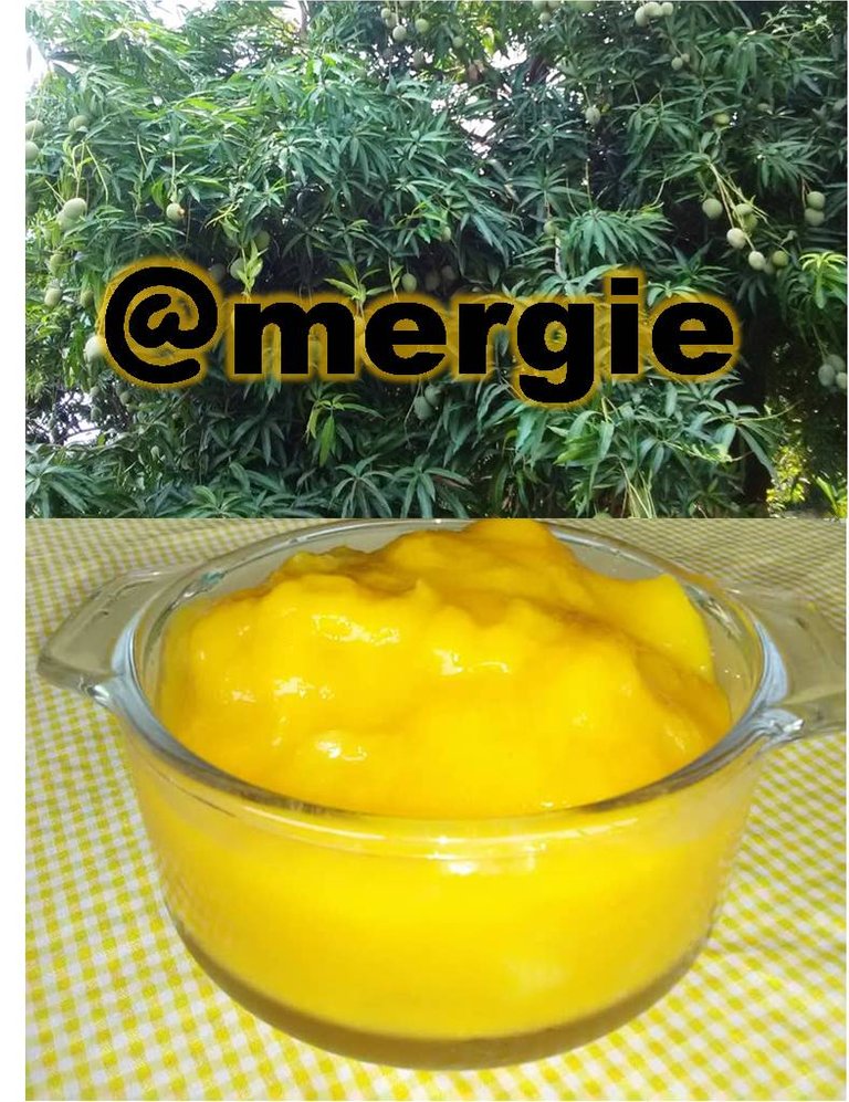 PORTADA DE JALEA DE MANGO.jpg