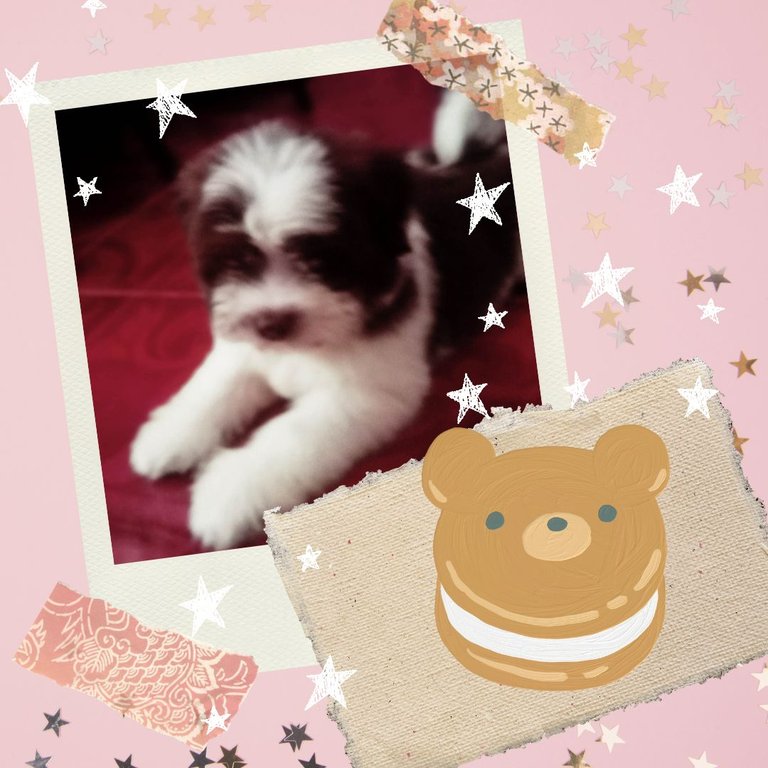 Pink Scrapbook Dog Birthday Animated Instagram Post_20250822_141404_0000.jpg
