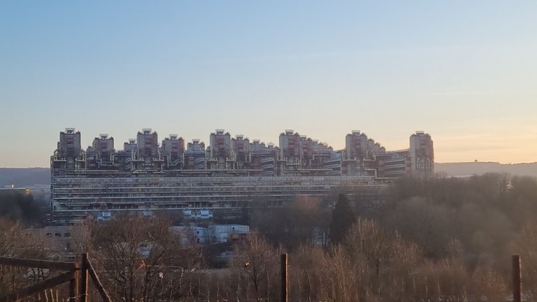 20250218_173254.jpg