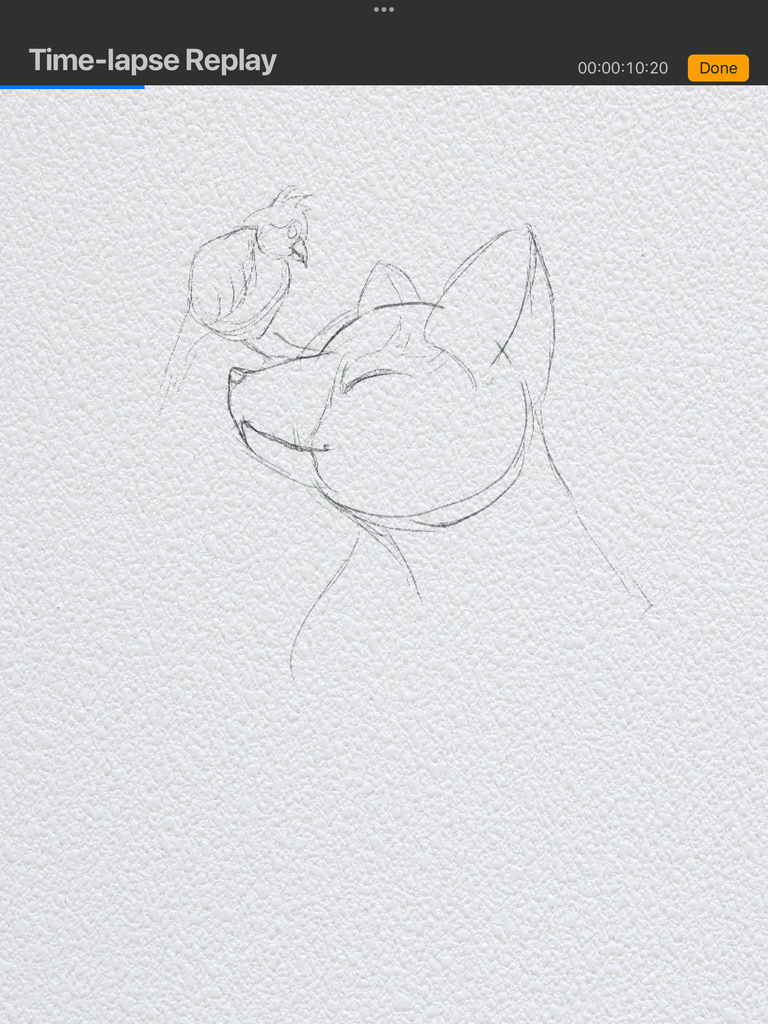IMG_3195.png