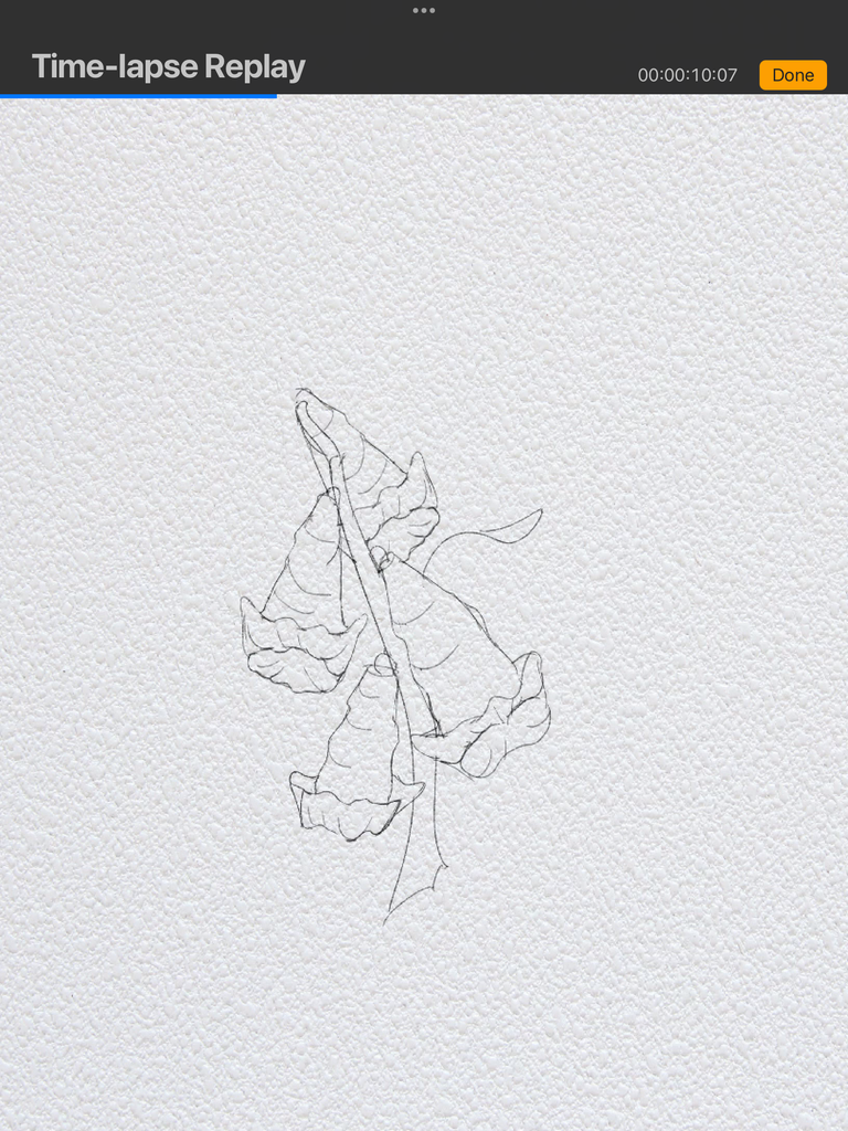 IMG_3204.png