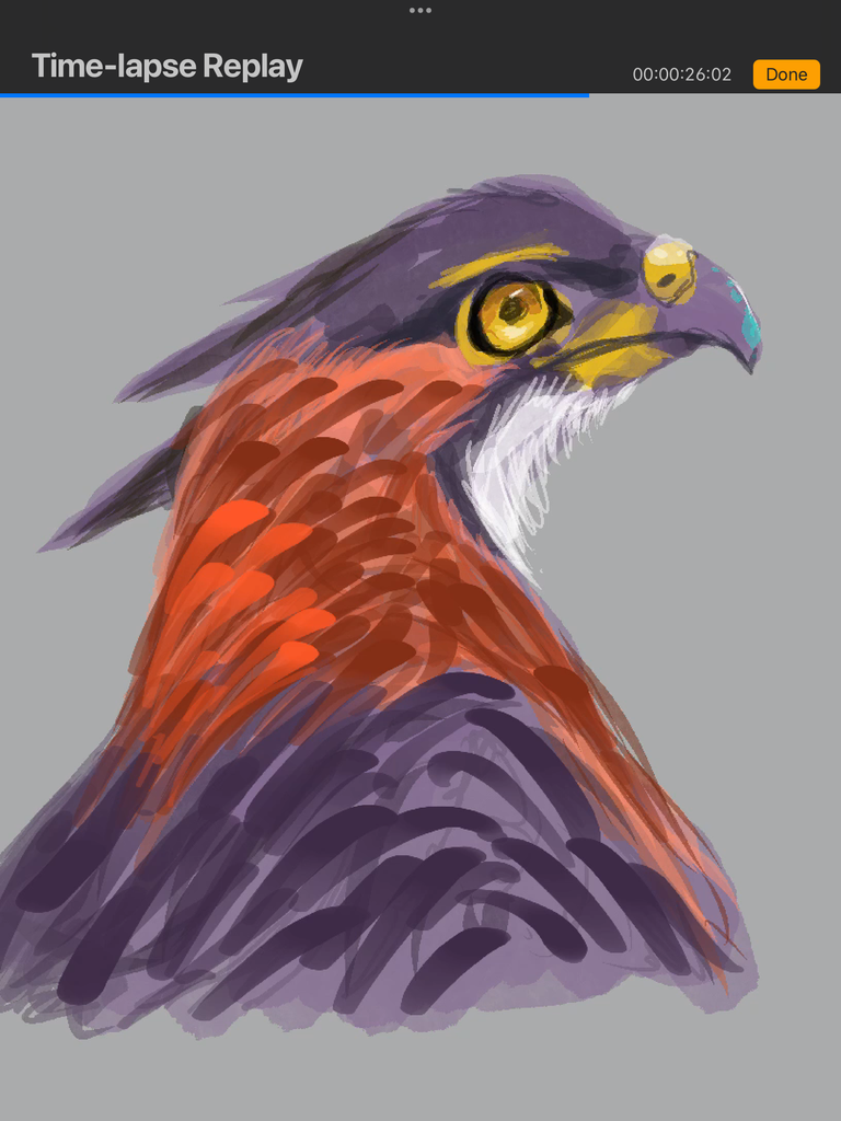 IMG_3405.png