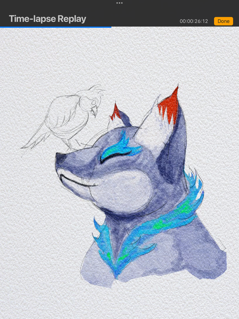 IMG_3197.png