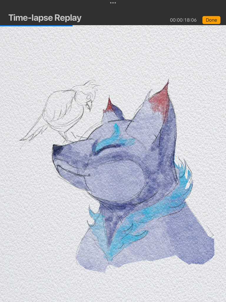 IMG_3196.png