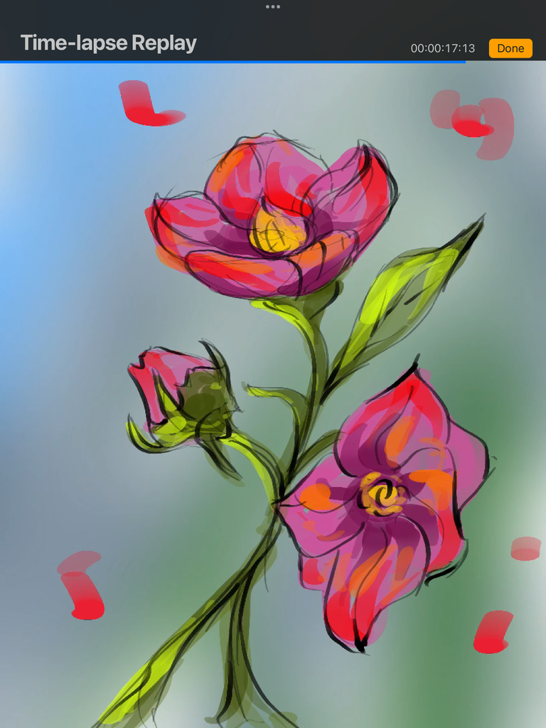 IMG_3387.png