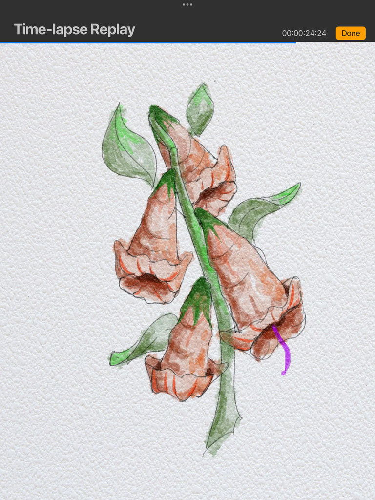 IMG_3207.png