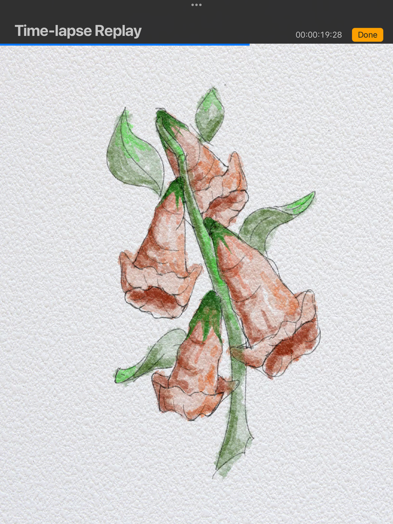 IMG_3206.png