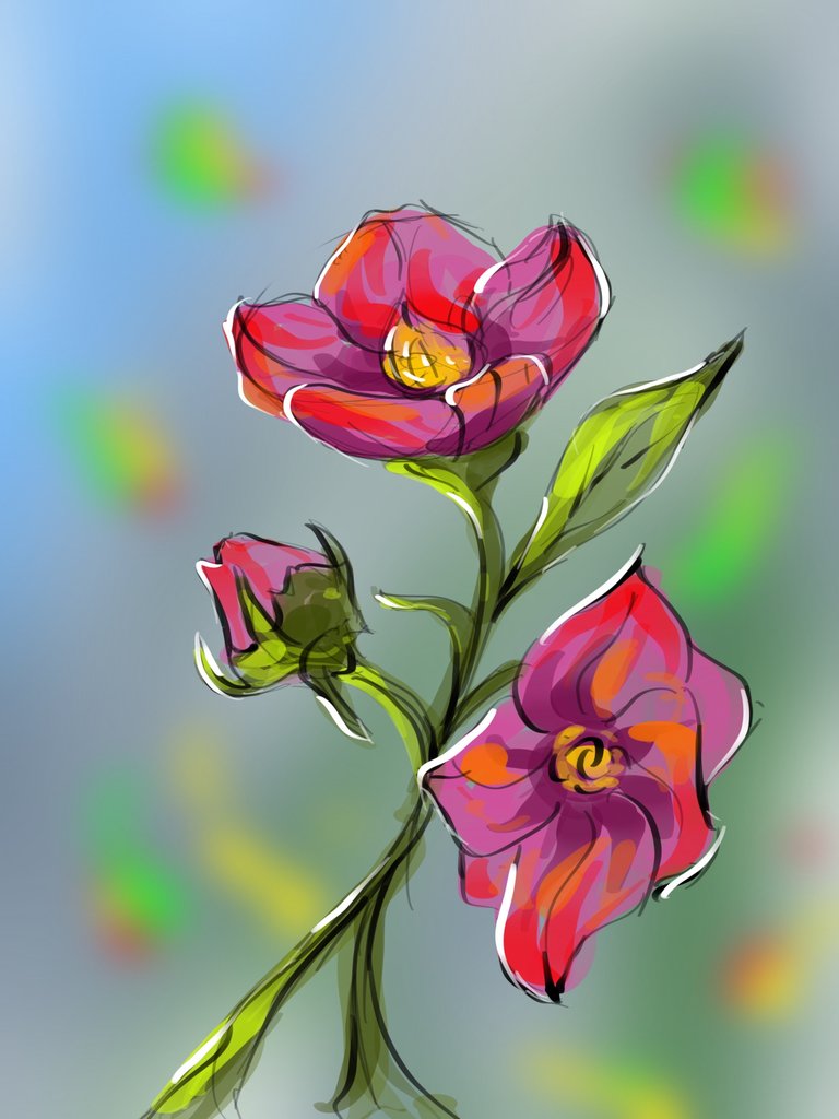IMG_3388.jpeg