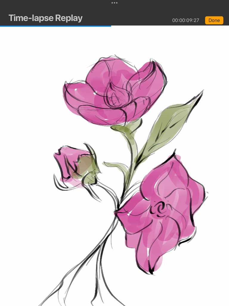 IMG_3385.png