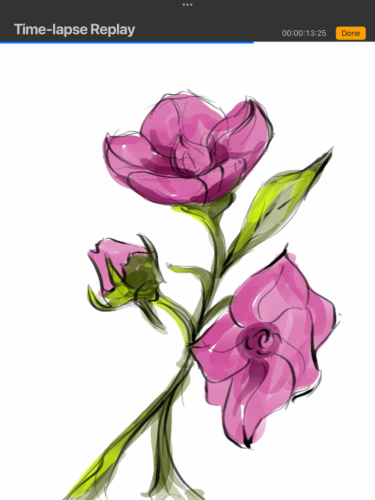 IMG_3386.png