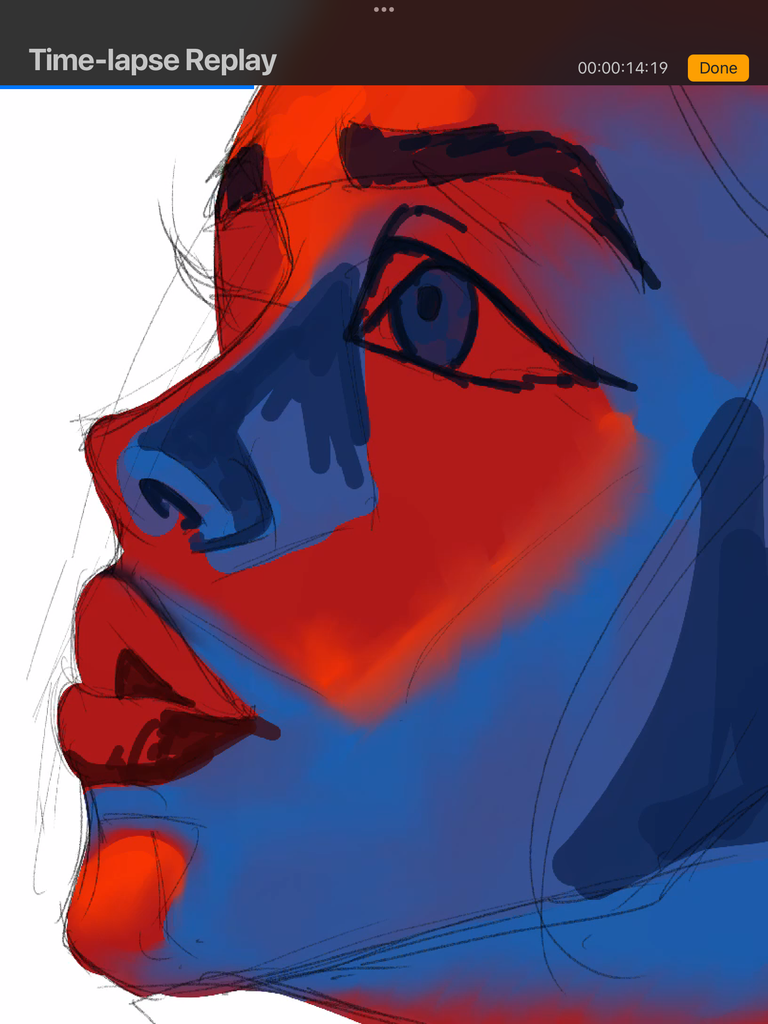 IMG_3142.png
