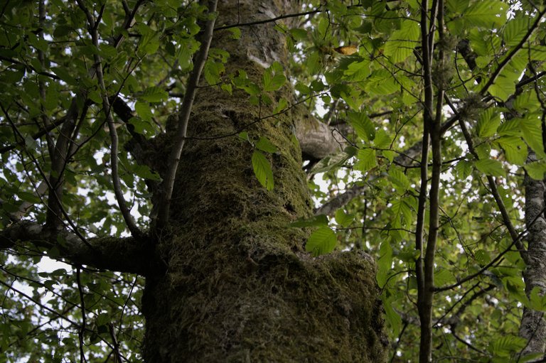 DSC_0066.jpg