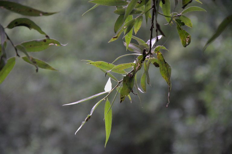 DSC_0026.jpg