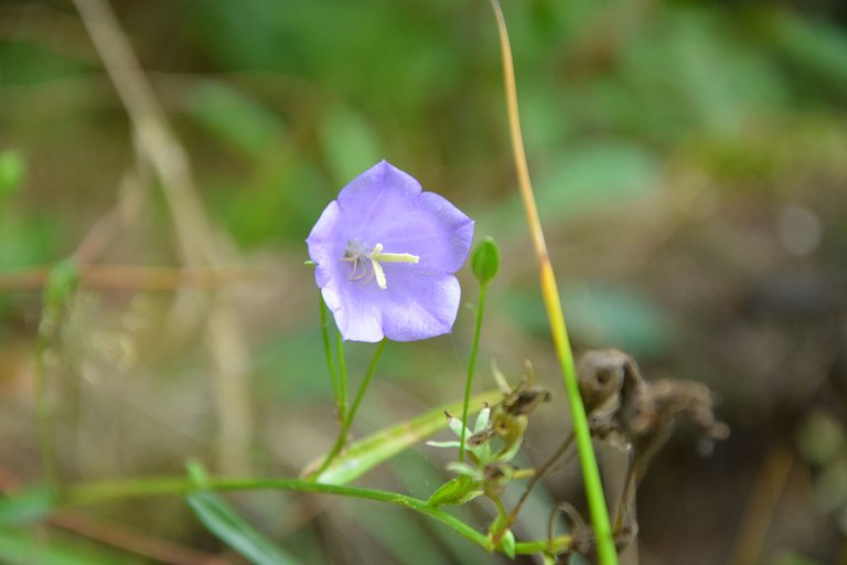 DSC_0119.jpg