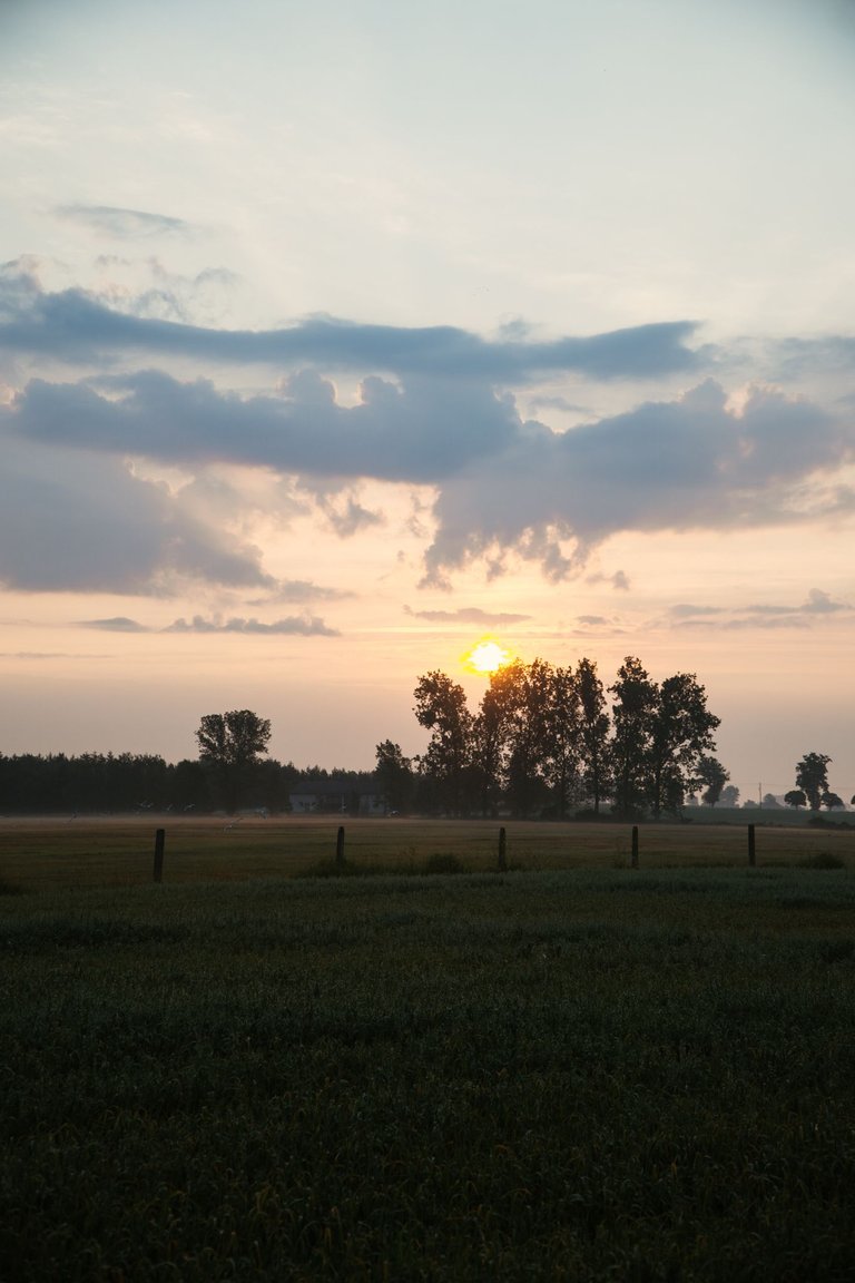 DSC09545.jpg
