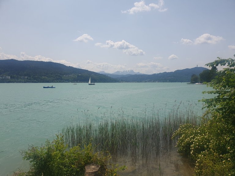 20230529_135431.jpg