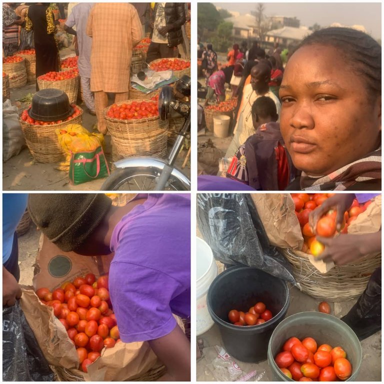 WEEKLY FOREST MARKET DAY: HOW I PURCHASED, PROCESSED AND PRESEREVED MY TOMATOES 