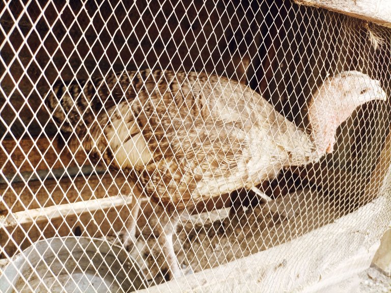 IMG_20230121_093811_806.jpg