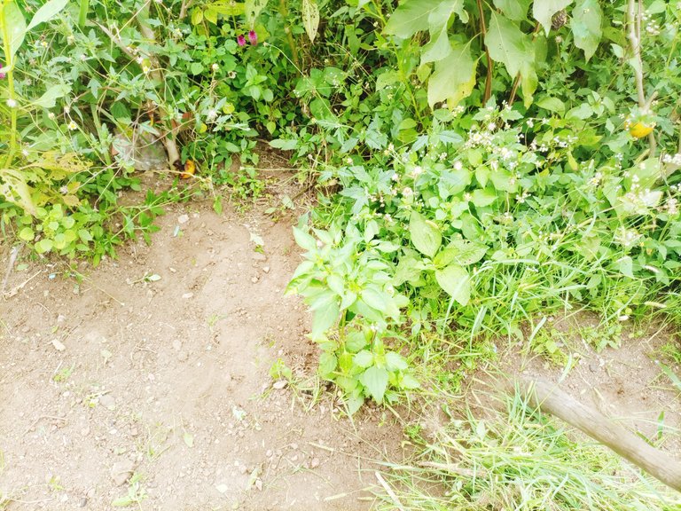 IMG_20250818_125702_010.jpg