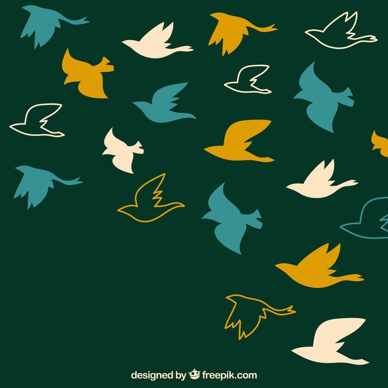 FA39C10C-181D-4263-8F9A-4A1B787F852A.jpeg