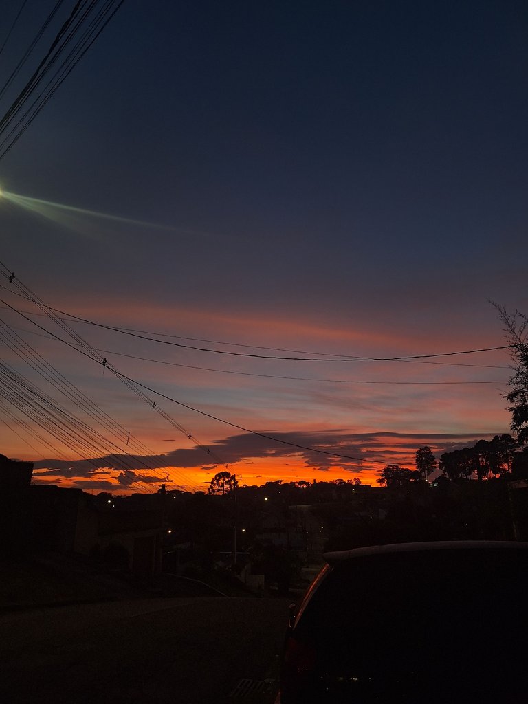 20250217_054650.jpg
