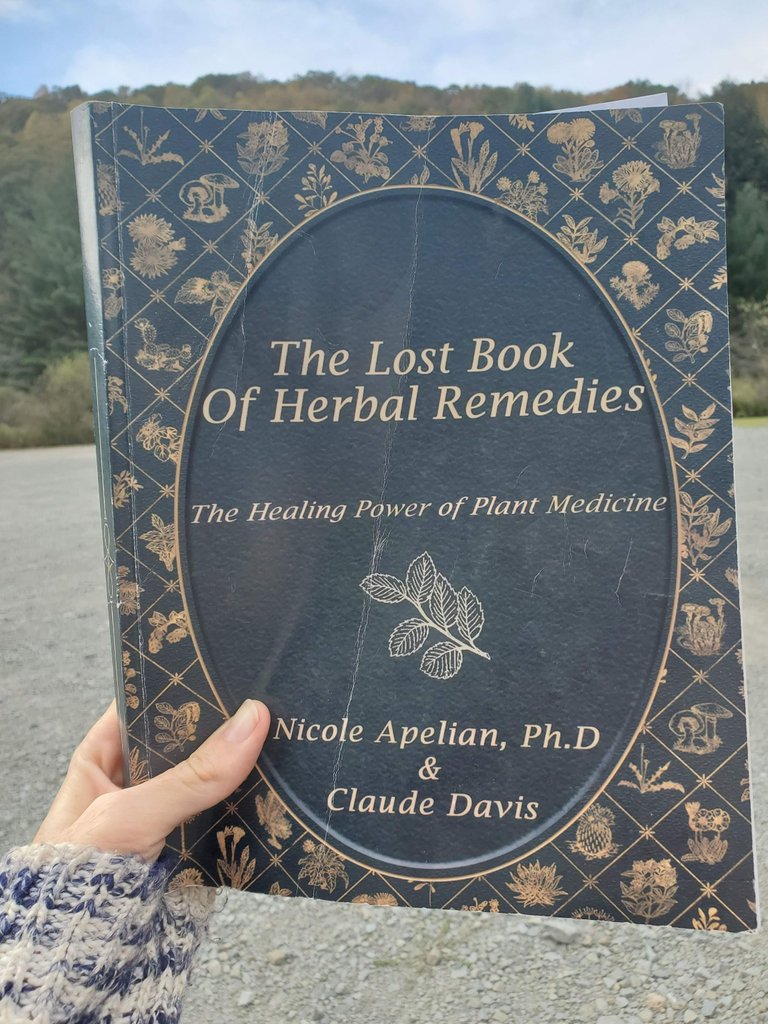 Lost Book of Herbal Remedies.jpg