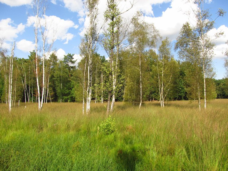 IMG_5367.JPG