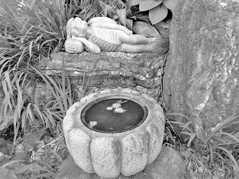 image11-2.jpg