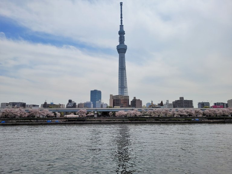 20230331_111141.jpg