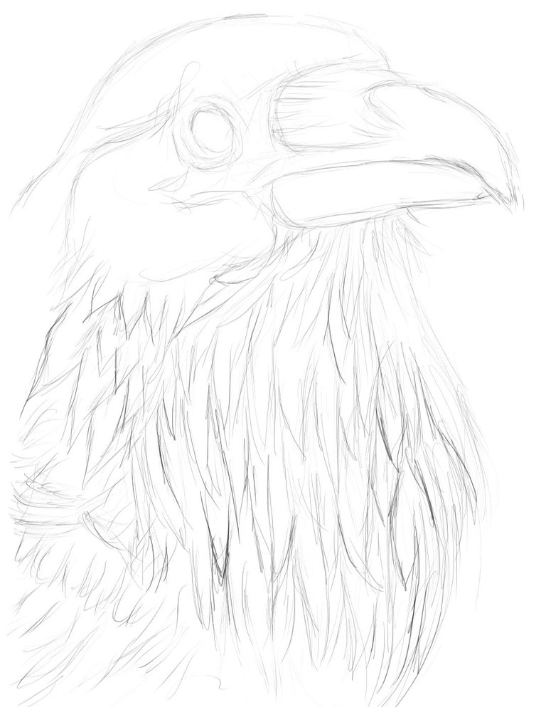 Screenshot_20220613-150113_Autodesk SketchBook.jpg