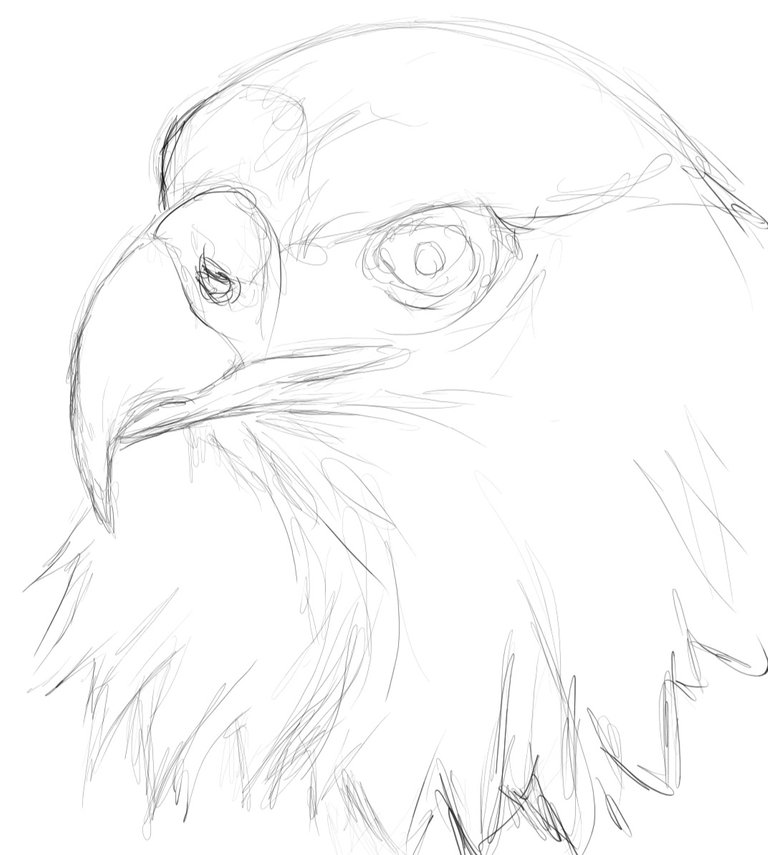 Screenshot_20230327-155446_Autodesk SketchBook.jpg