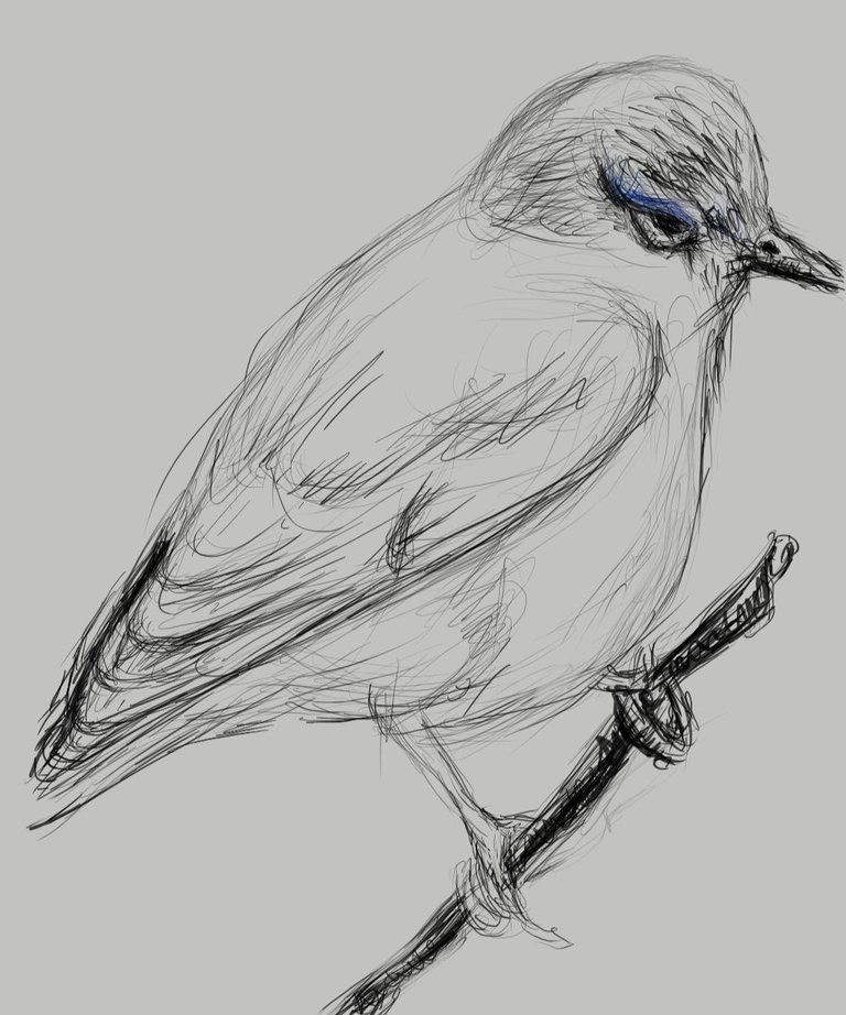 Screenshot_20230327-142535_Autodesk SketchBook.jpg
