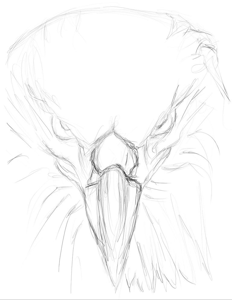 Screenshot_20221010-142502_Autodesk SketchBook.jpg