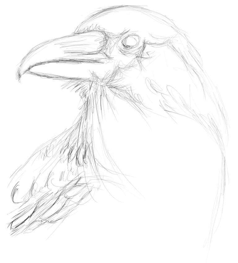 Screenshot_20221114-144140_Autodesk SketchBook.jpg