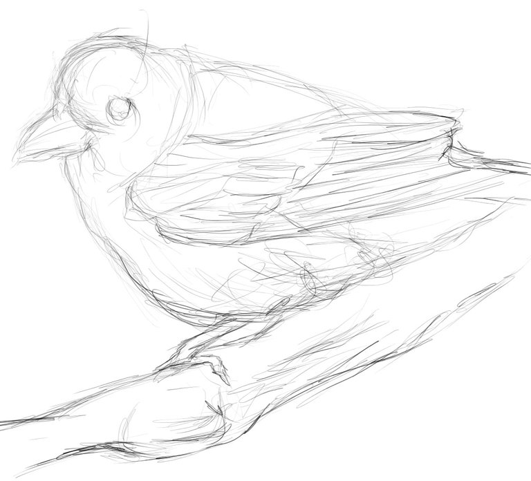 Screenshot_20230317-163153_Autodesk SketchBook.jpg