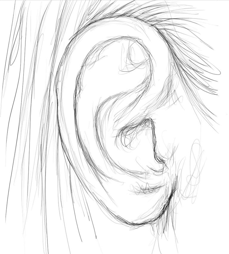 Screenshot_20240128-155528_Autodesk SketchBook.jpg