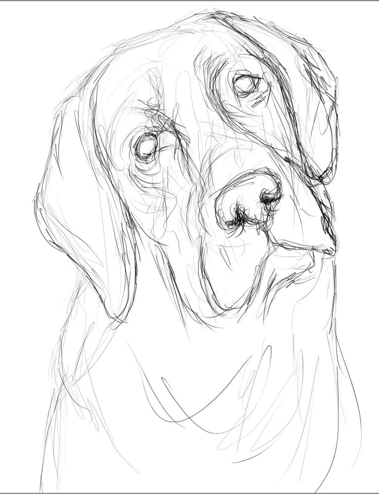 Screenshot_20230717-160649_Autodesk SketchBook.jpg