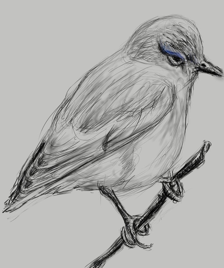 Screenshot_20230327-143234_Autodesk SketchBook.jpg